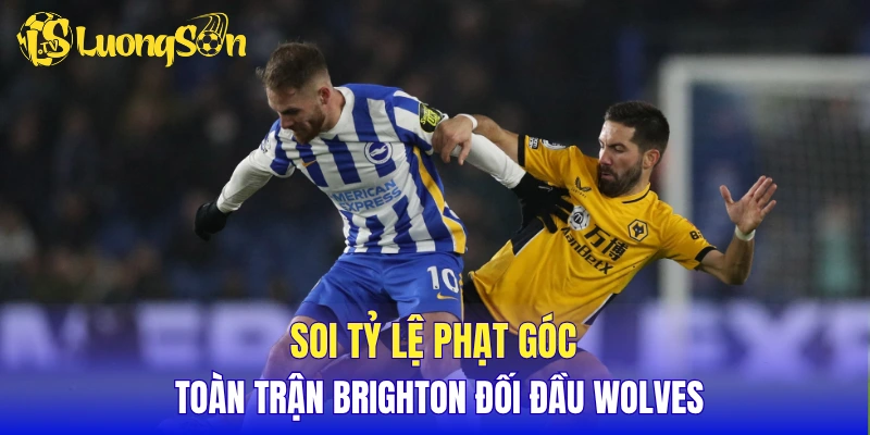 Soi tỷ lệ phạt góc toàn trận Brighton đối đầu Wolves 