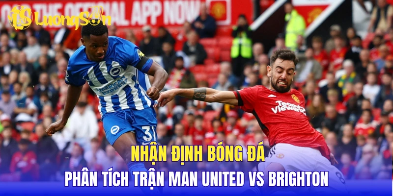 Nhận định bóng đá, phân tích trận Man United vs Brighton