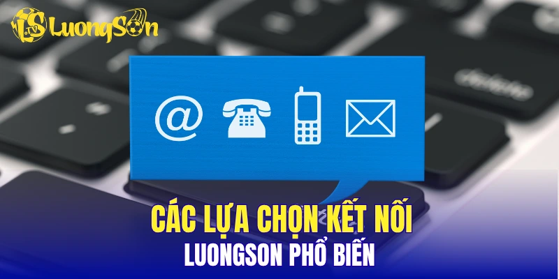Các lựa chọn kết nối LuongSon phổ biến